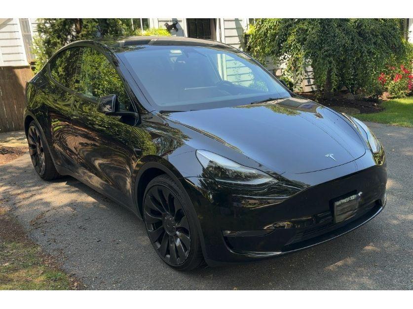 tesla model y 2023 7SAYGDEF9PF804038 image tesla model y 2023 7SAYGDEF9PF804038 image